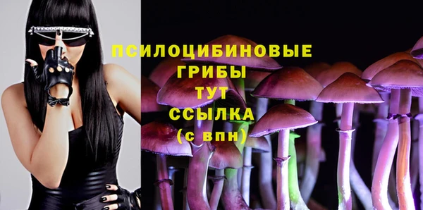 Альфа ПВП Белокуриха